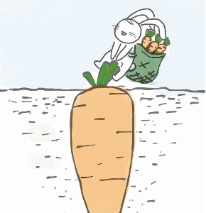 wortel van je klachten